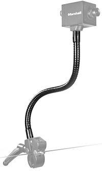 10-inch Gooseneck Flexible Arm Mount