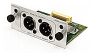 2 Balanced Analog Audio Outputs