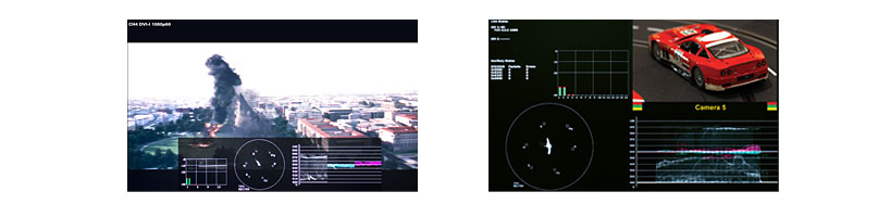 feature display for waveform monitors