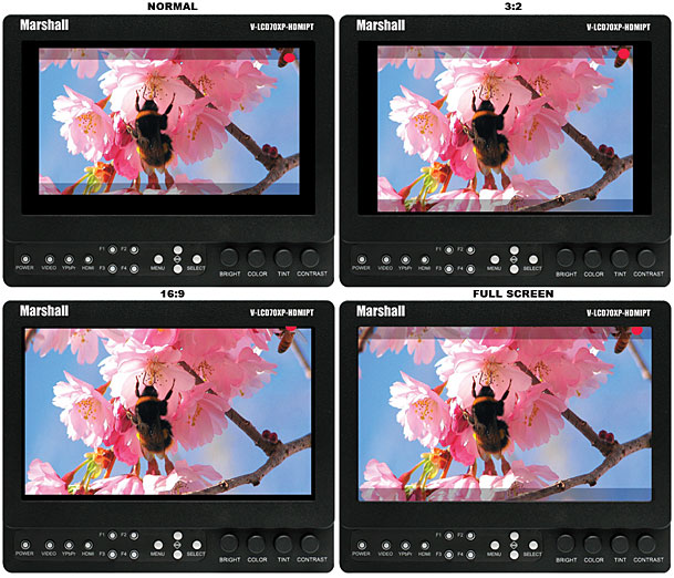 Ratio Screen Samples